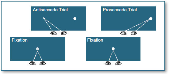 Figure 142