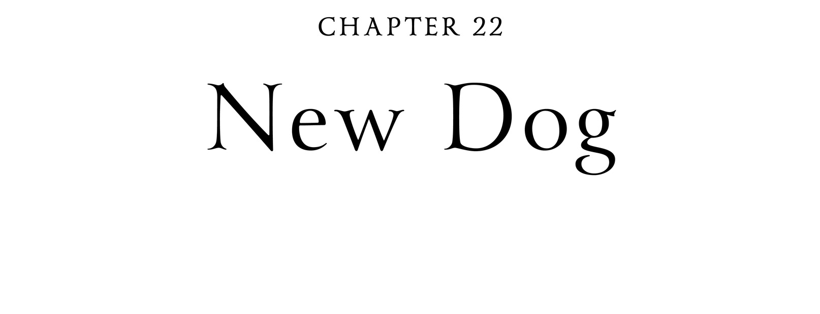 Chapter 22 New Dog