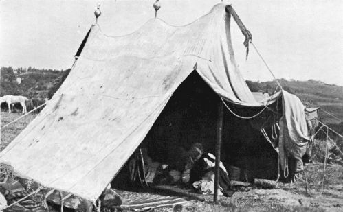 TENT OF AN ALGERIAN SHEÏKH.