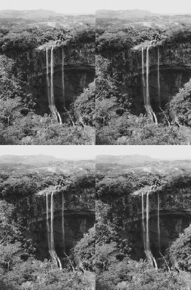 A four-panel landscape, with each panel showing a waterfall in a forest