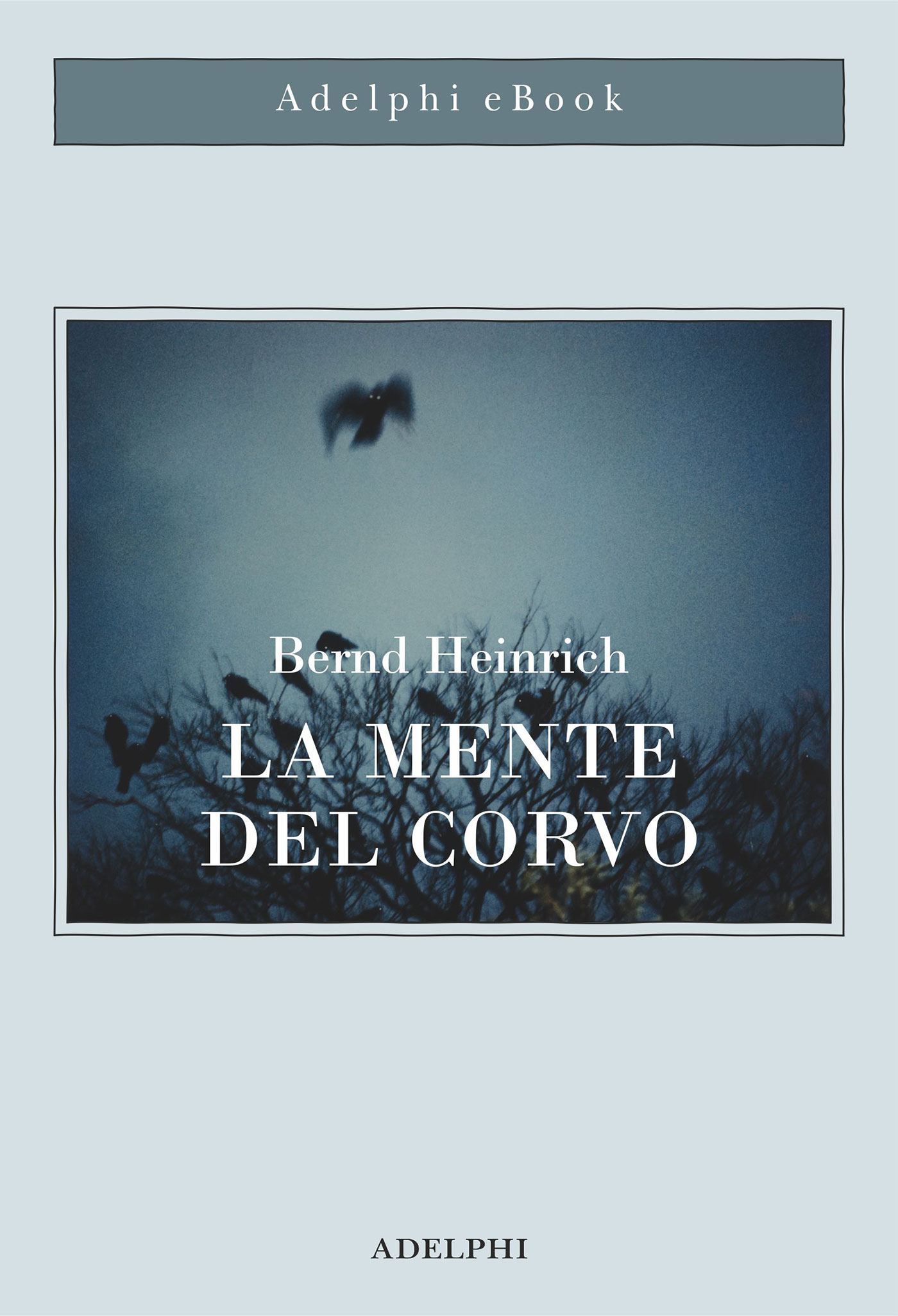 Immagine di copertina: Bernd Heinrich, La mente del corvo, Adelphi Edizioni