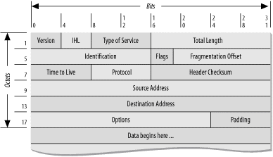 IP header and packet