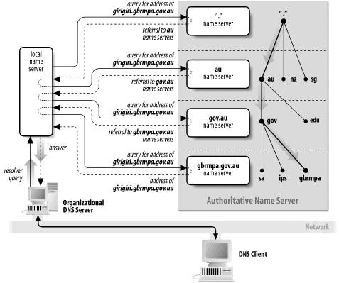 The DNS tree hierarchy for name resolution