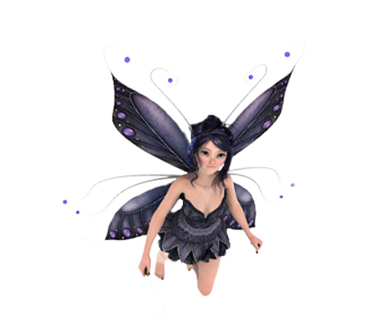 Fairy