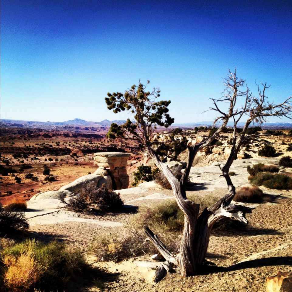 A landscape of Utah with the sun behind it.