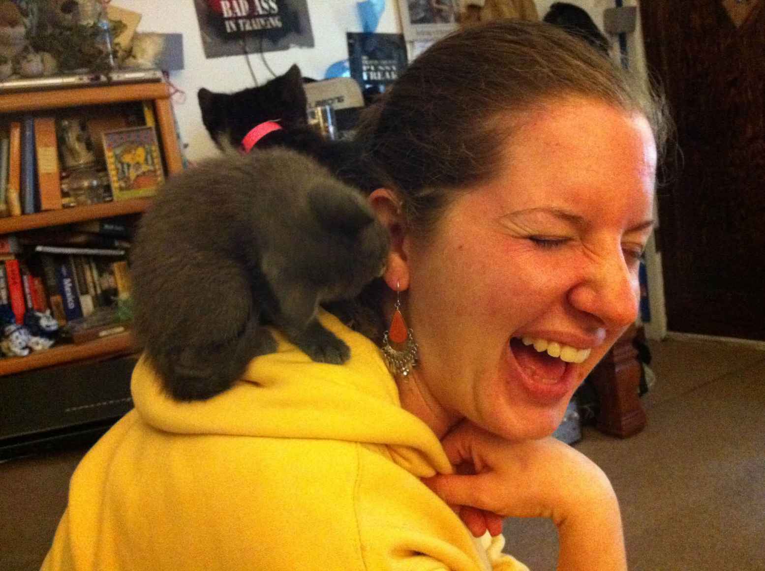 several kittens tickling a girl