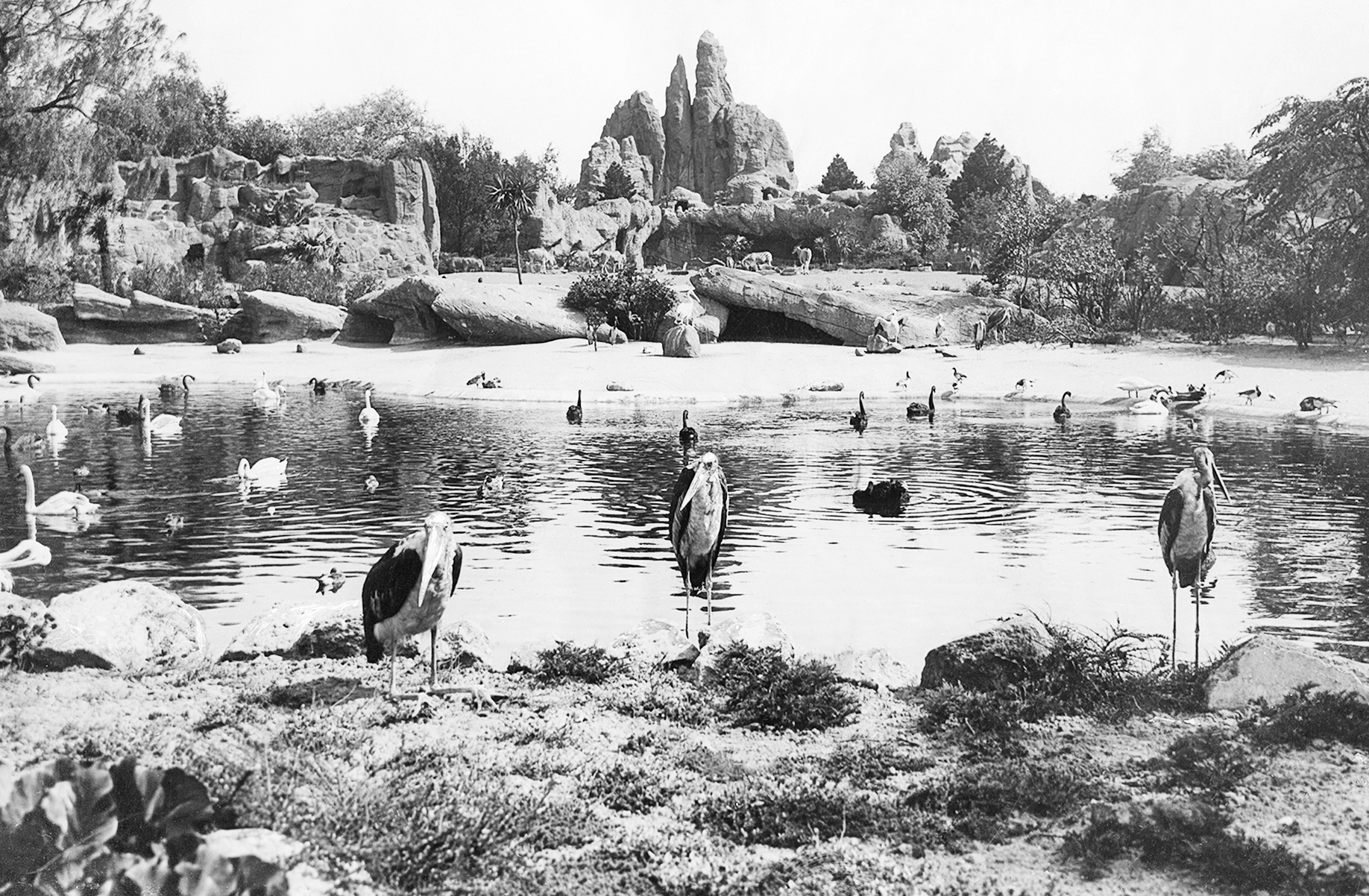  (GERMANY OUT) Blick in eine der neuen Freianlagen; i.V. Marabus.1936 (Photo by ullstein bild/ullstein bild via Getty Images)