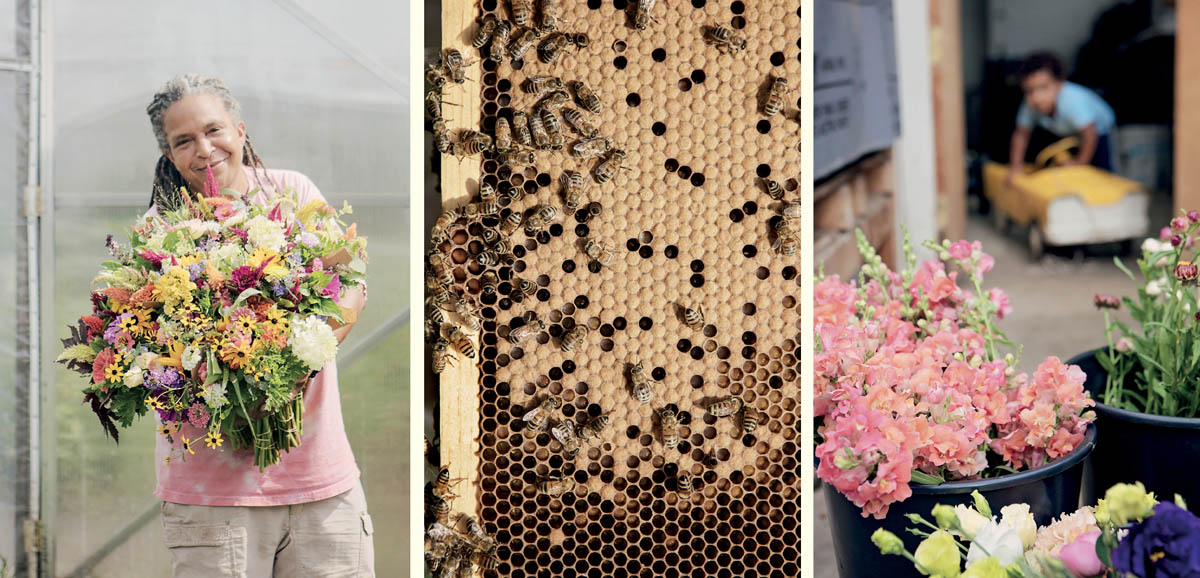 Scenes from a farm, including a farmer with flowers and a beehive