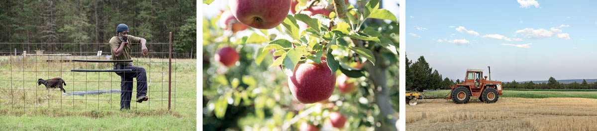 Scenes from farms, including goats, apple treets, and a tractor