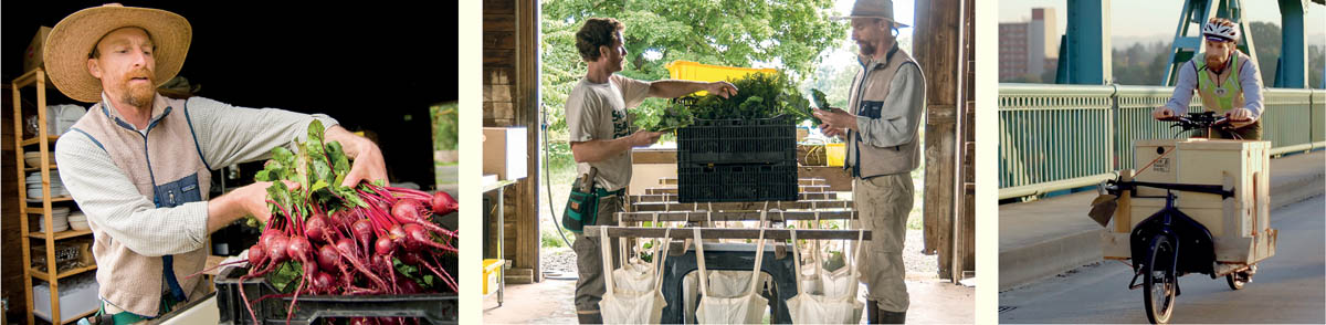 Scenes from Slow Hand Farm with Josh Volk