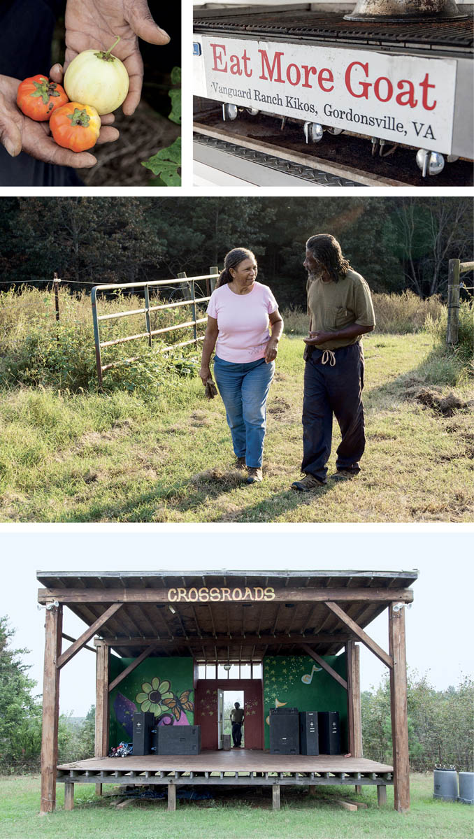 Scenes from Vanguard Ranch, including the farmers, signs, and fresh vegetables