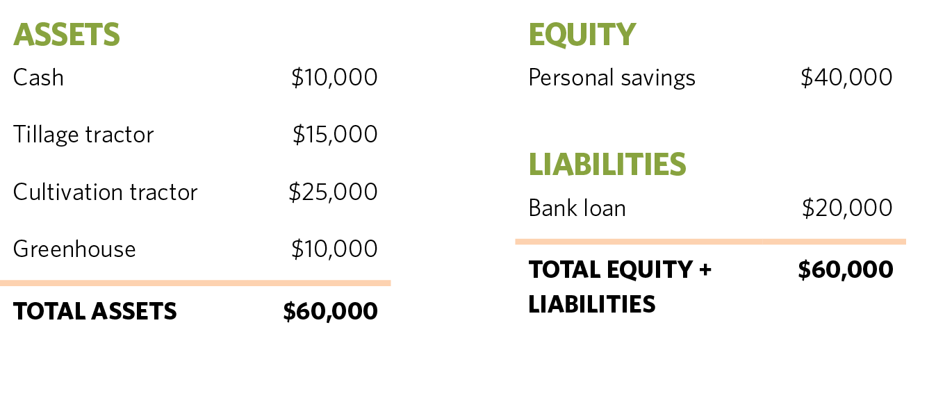 Calculations for Assets, including cash, tillage tractor, cultivation tractor, and greenhouse. Equity, including personal savings, and liabilities, including bank loan.