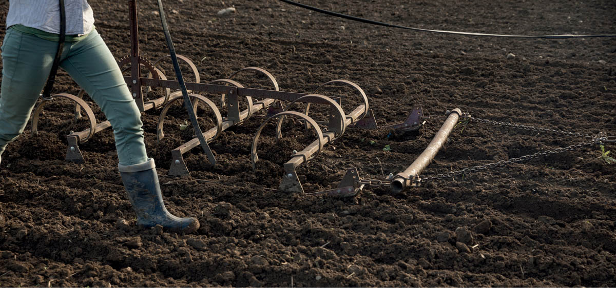 Freshly tilled fields