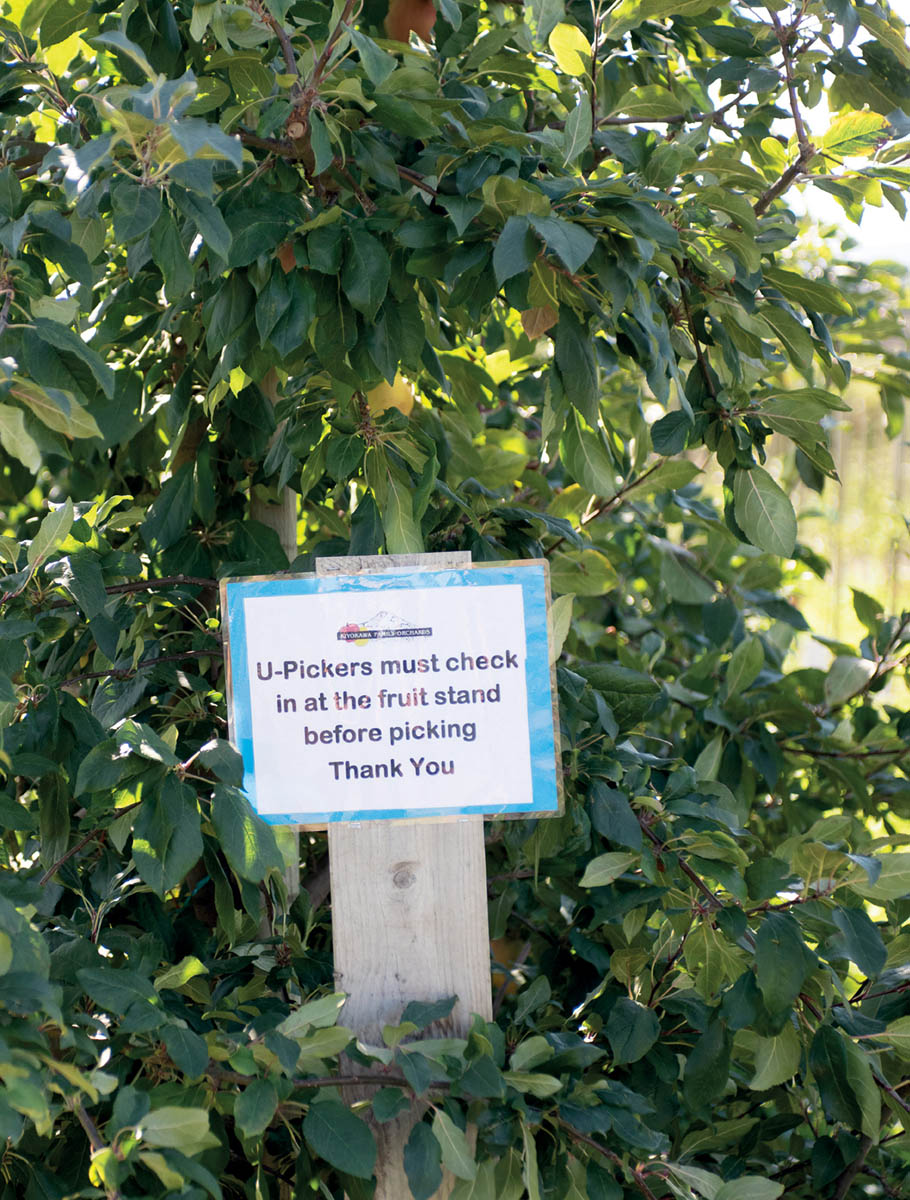 A sign at a self pick orchard