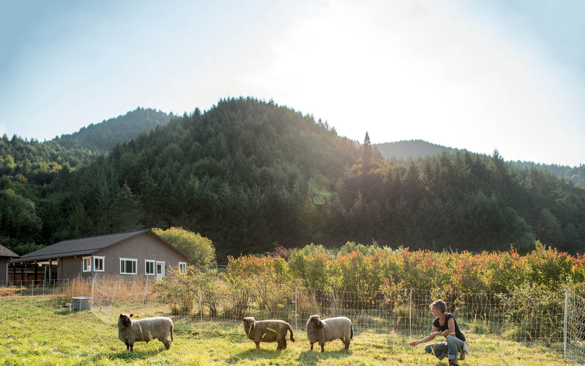 A farmer checking on her sheep