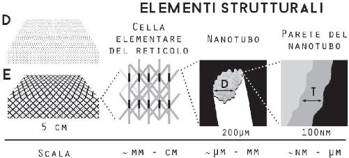 Figura 5 Struttura dettagliata di un microreticolo metallico. Carino, vero?