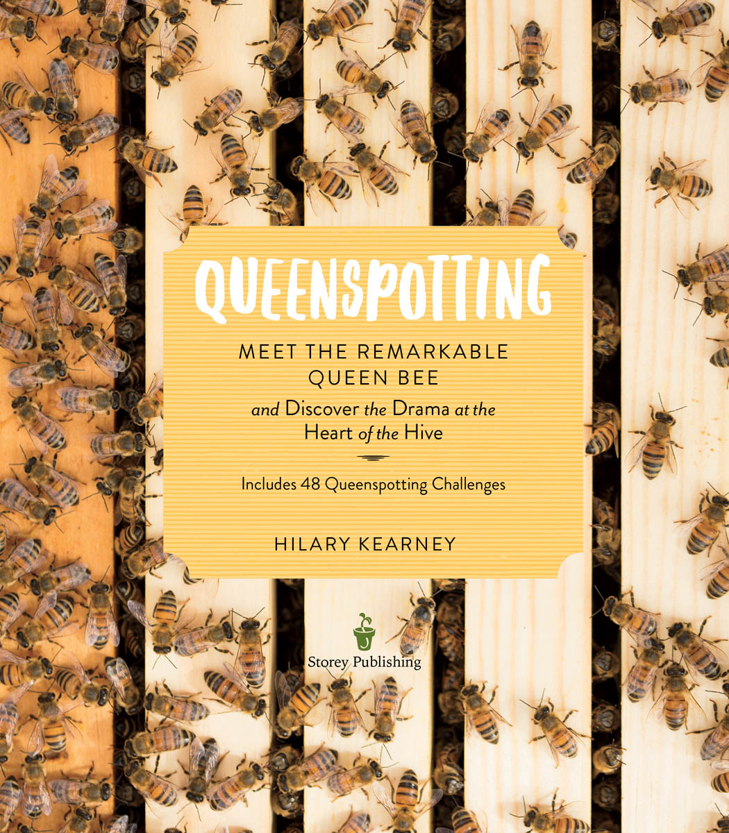 Queenspotting. Meet the remarkable queen bee and discover the drama at the heart of the hive. Includes 48 queenspotting challenges. By Hilary Kearney.