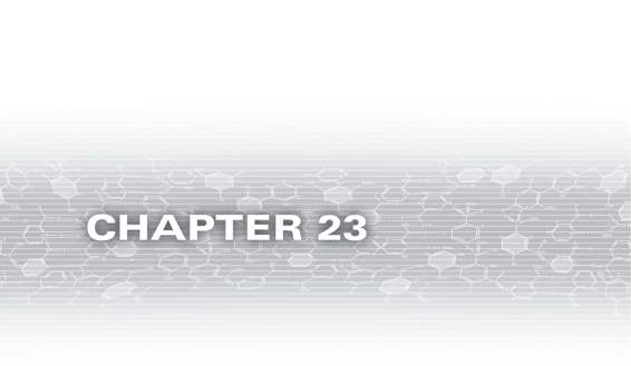 Chapter 23