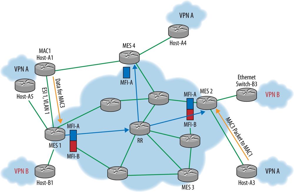 EVPN MAC-learning model