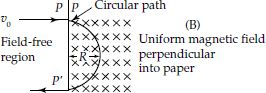 Circular motion of an electron in a transverse magnetic field