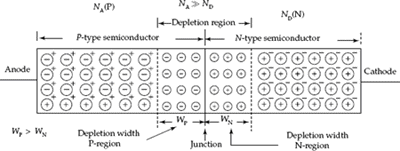 Depletion region widths in P-type and N-type semiconductor materials