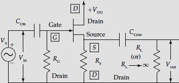 Common drain FET amplifier circuit