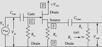 Common drain FET amplifier circuit