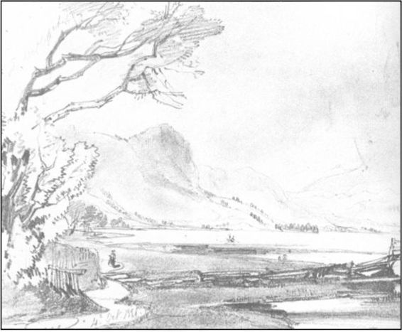 Illustration