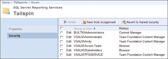 Setting report security for the Scrum Team and stakeholders.