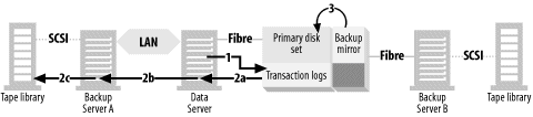 Backing up the transaction logs