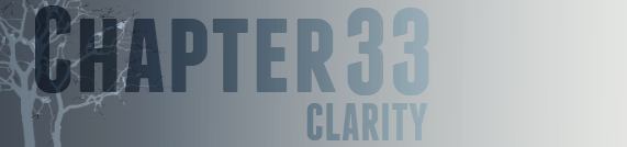 CHAPTER THIRTY-THREE, Clarity