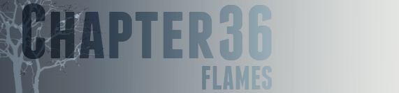 CHAPTER THIRTY-SIX, Flames