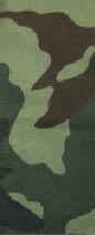 camo3.jpg