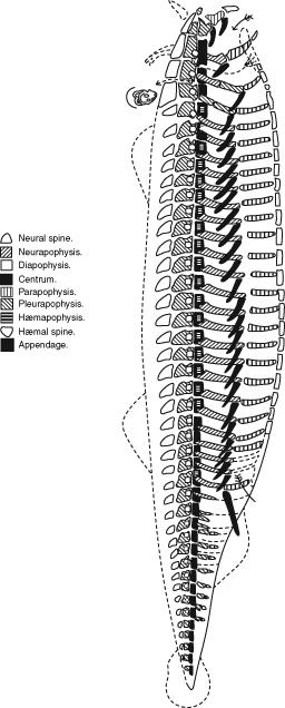 Figure 1.2