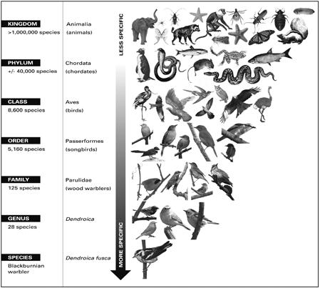 Figure 1.4