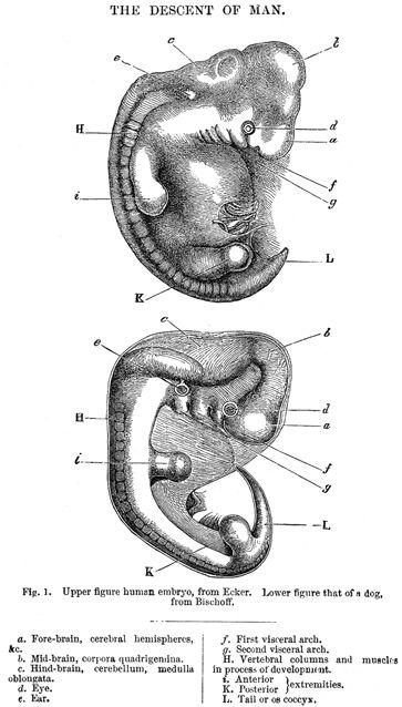 Figure 1.6