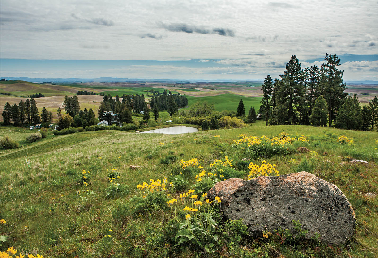 Picture of farm.