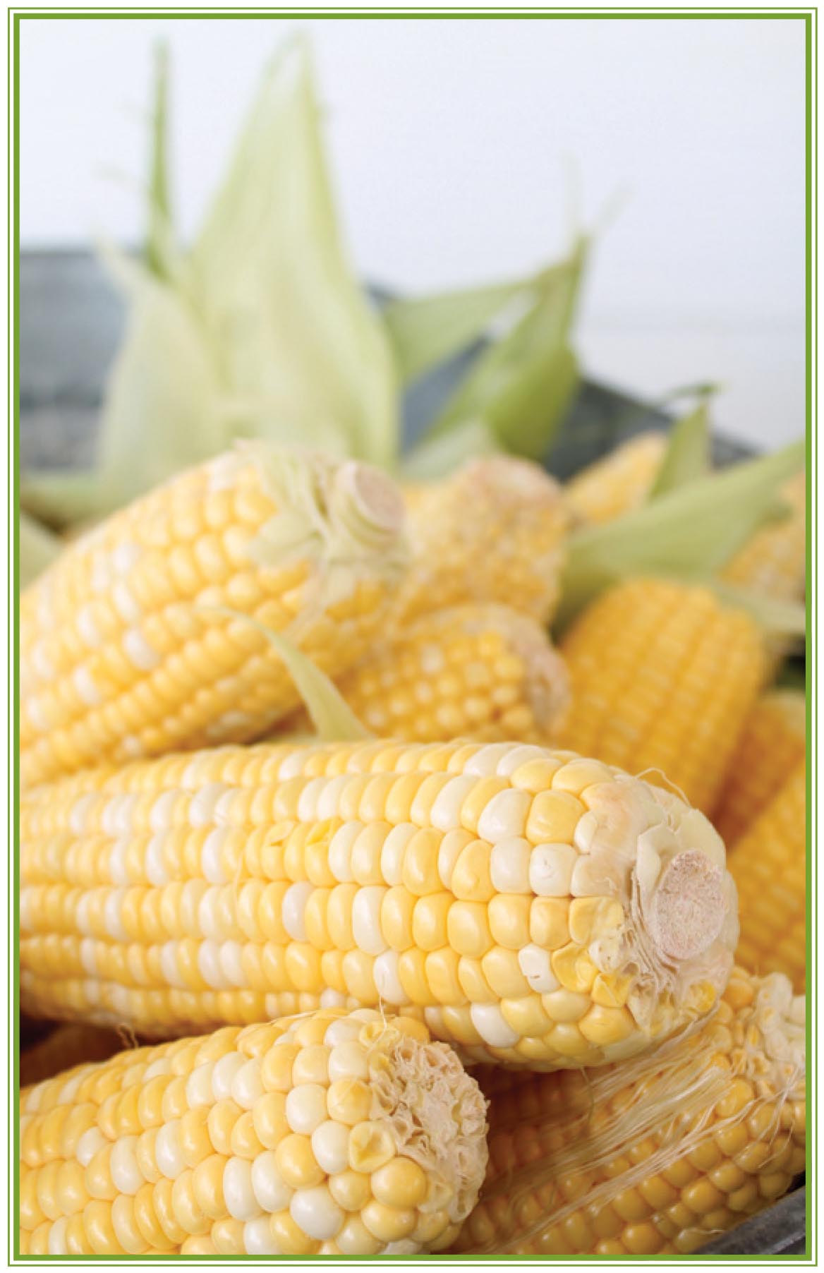 Picture of corn on the cob.