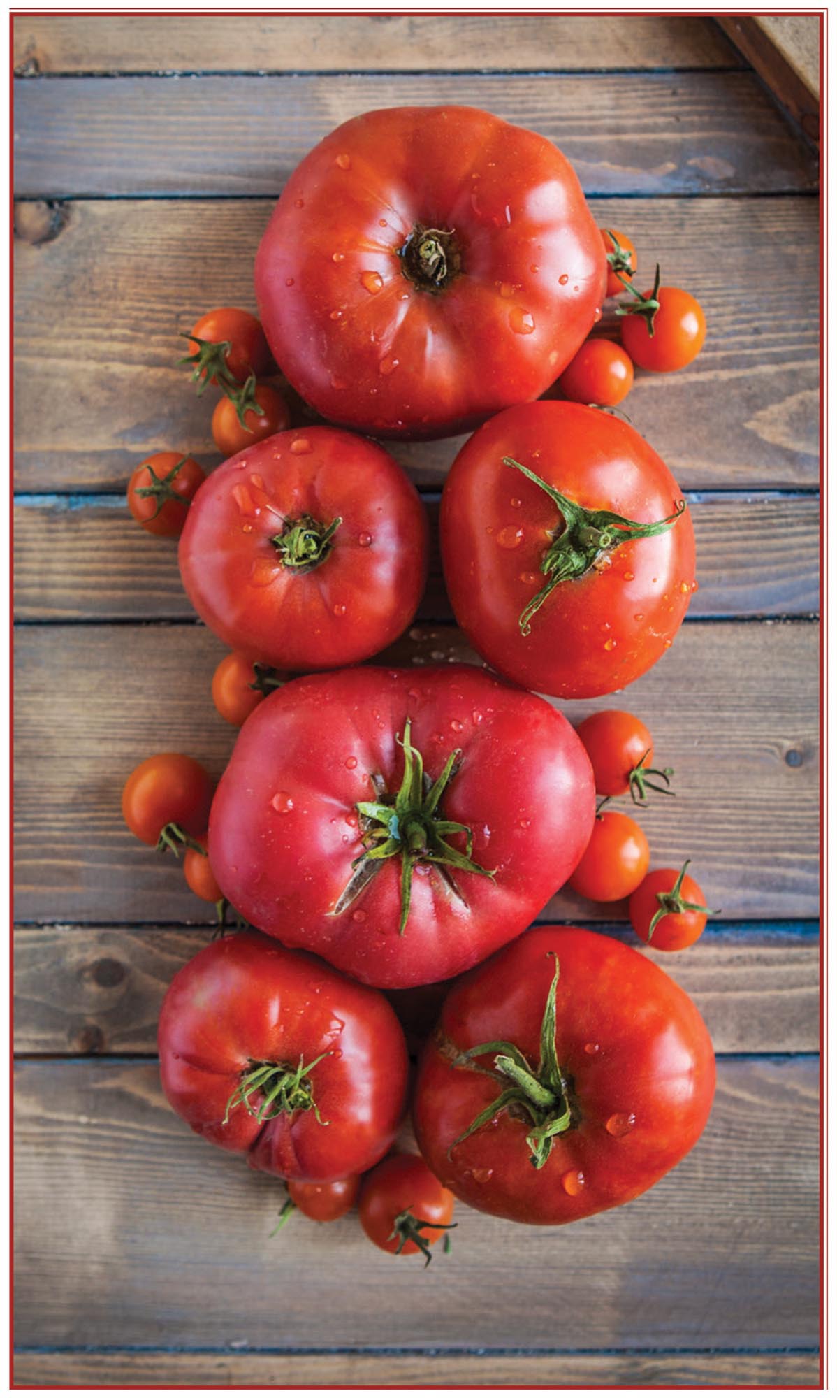 Picture of tomatoes.