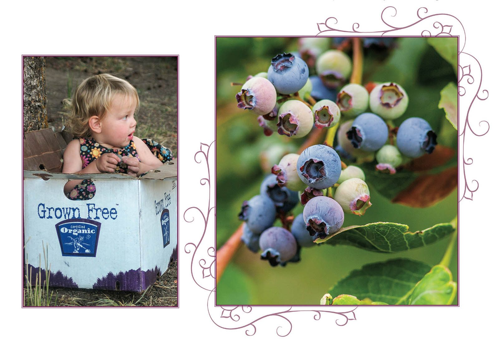 Picture of baby and berries.