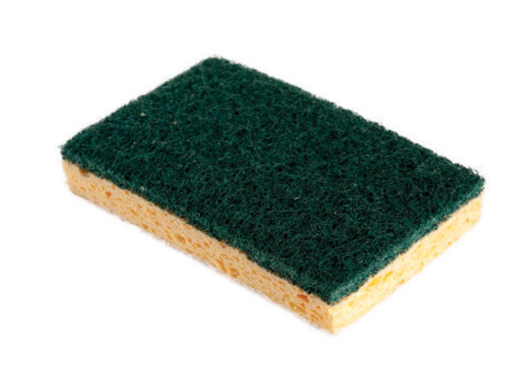 Picture of sponge.