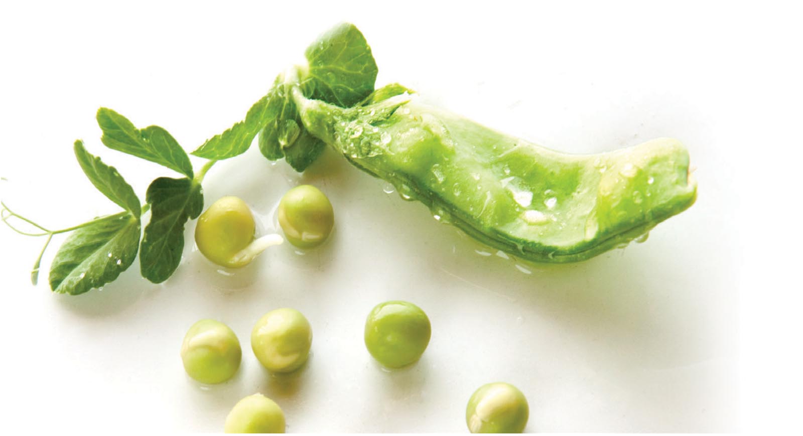 Picture of peas.