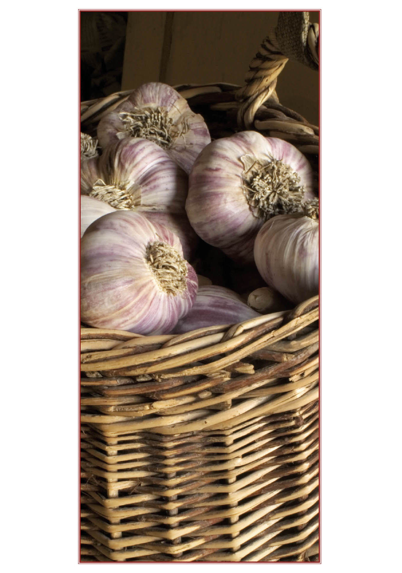 Picture of garlic.