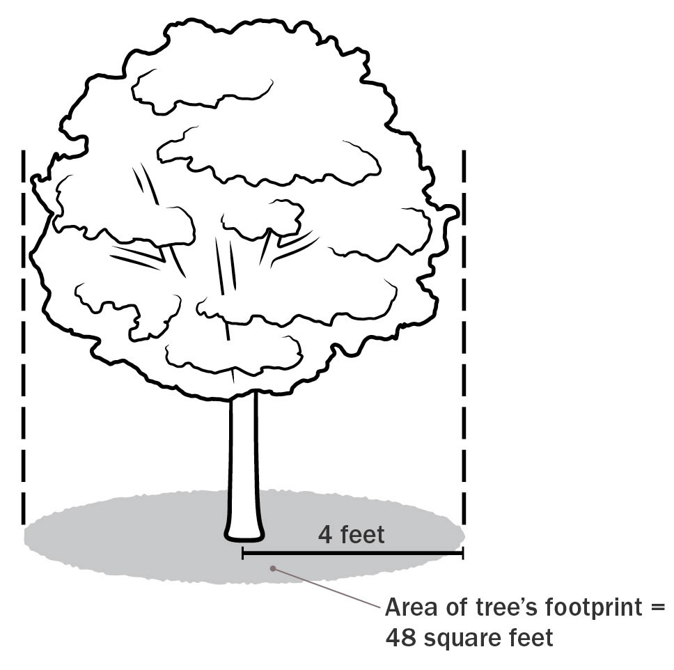 Find the area under a tree using A = πr2. illo_65