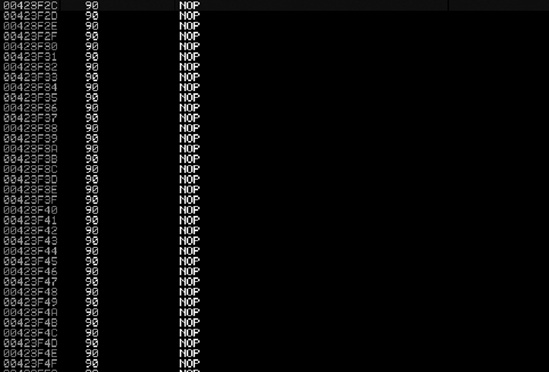 Examples of multiple NOPs that create the NOP slide