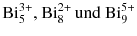 $\text{Bi}_{5}^{3+}\text{, } \text{Bi}_{8}^{2+}\,\text{und }\text{Bi}_{9}^{5+}$