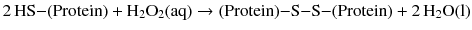 $$2\,\mathrm{HS}{-}(\mathrm{Protein}) + \mathrm{H_{2}O_{2}(aq)} \to (\mathrm{Protein}){-}\mathrm{S}{-}\mathrm{S}{-}(\mathrm{Protein}) + 2\,\mathrm{H_{2}O(l)}$$