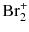 $\text{Br}_{2}^{+}$