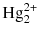 $\text{Hg}_{2}^{2+}$