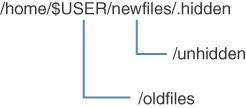 A file directory is given- "/home/$USER/newfiles/.hidden. The part '$USER' is marked as /oldfiles and the part 'newfiles' is marked as /unhidden.